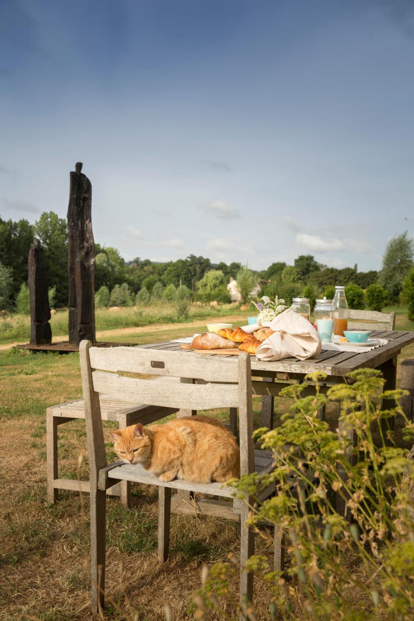 Bed and Breakfast La Queurie La Courbe Esterno foto