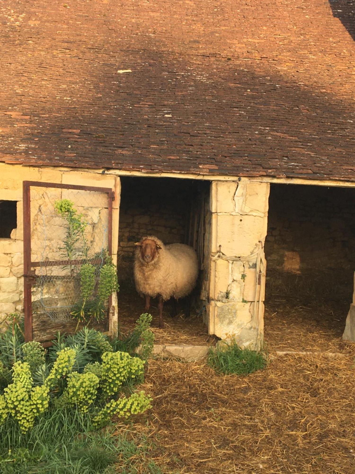 Bed and Breakfast La Queurie La Courbe Esterno foto